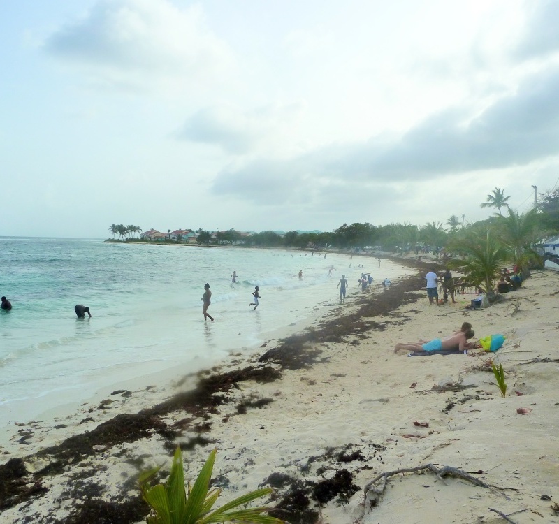 plage raisins clairs
