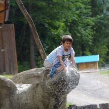 liam sur dragon
