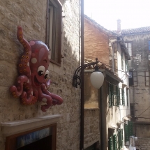 Musée aquarium