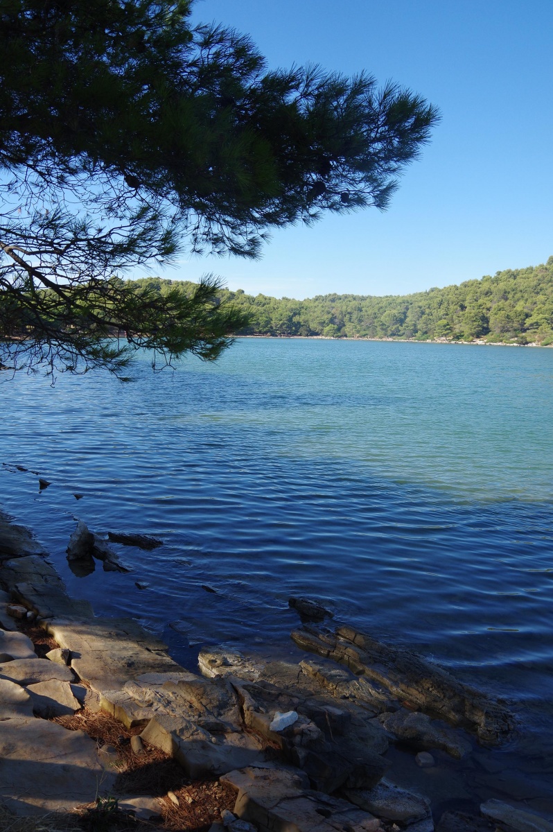 la lac salé