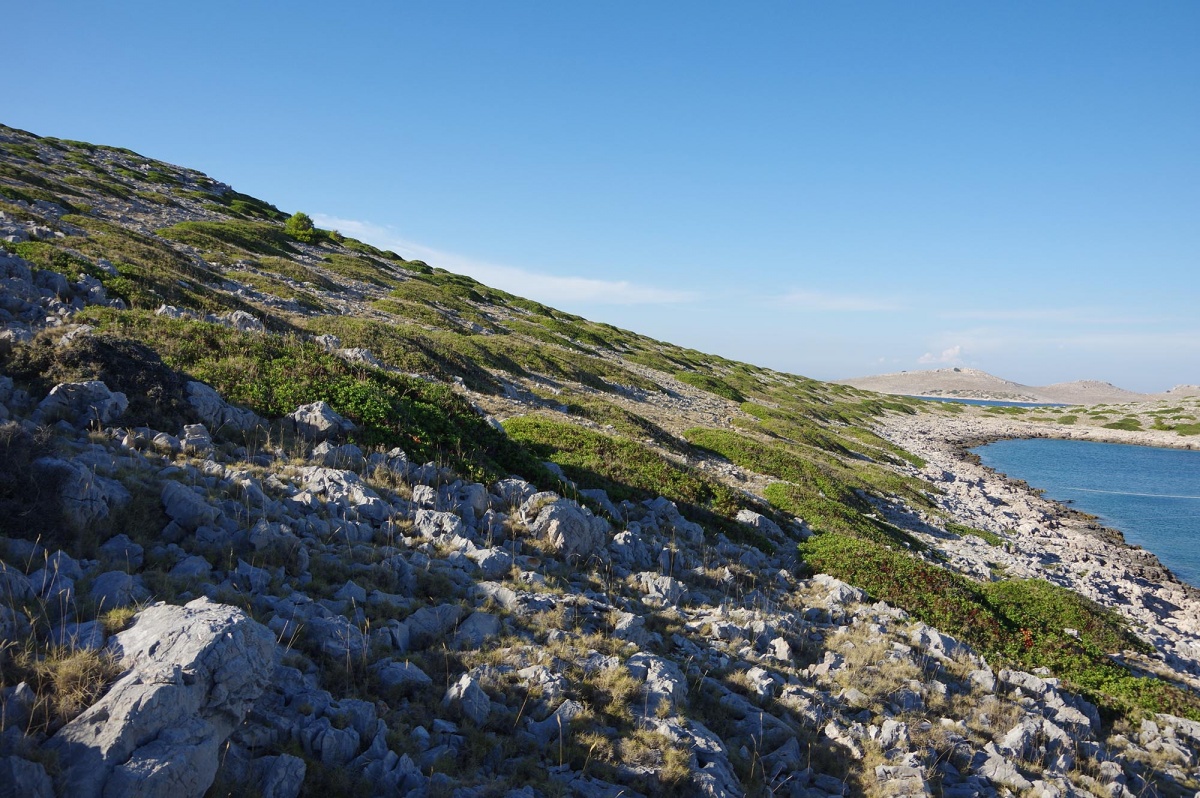 Une des iles du parc de Kornati