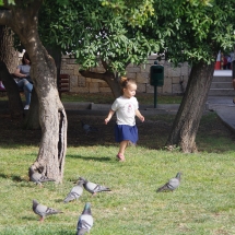 Kali et les pigeons