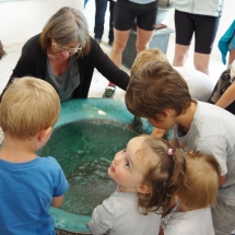 Expérimentation avec de l&#039;eau