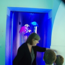 Le couloir de méduses