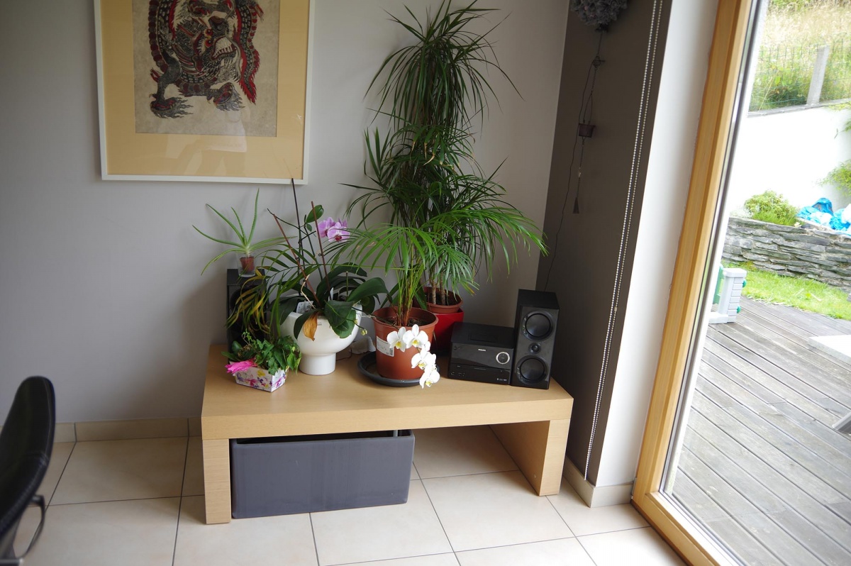 Petit coin zen