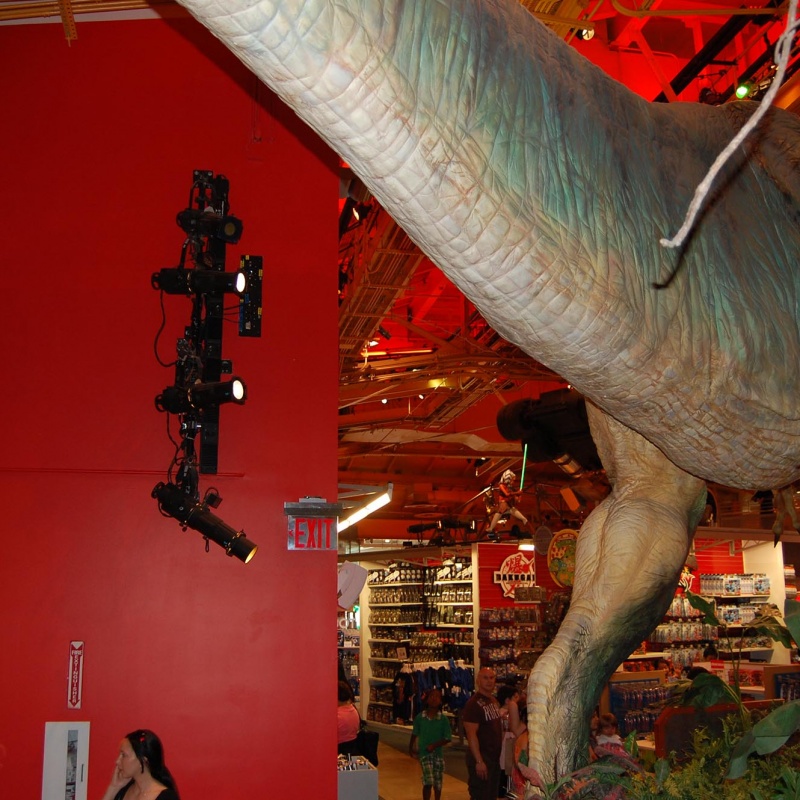 NY - le dinosaure sans trou de cul