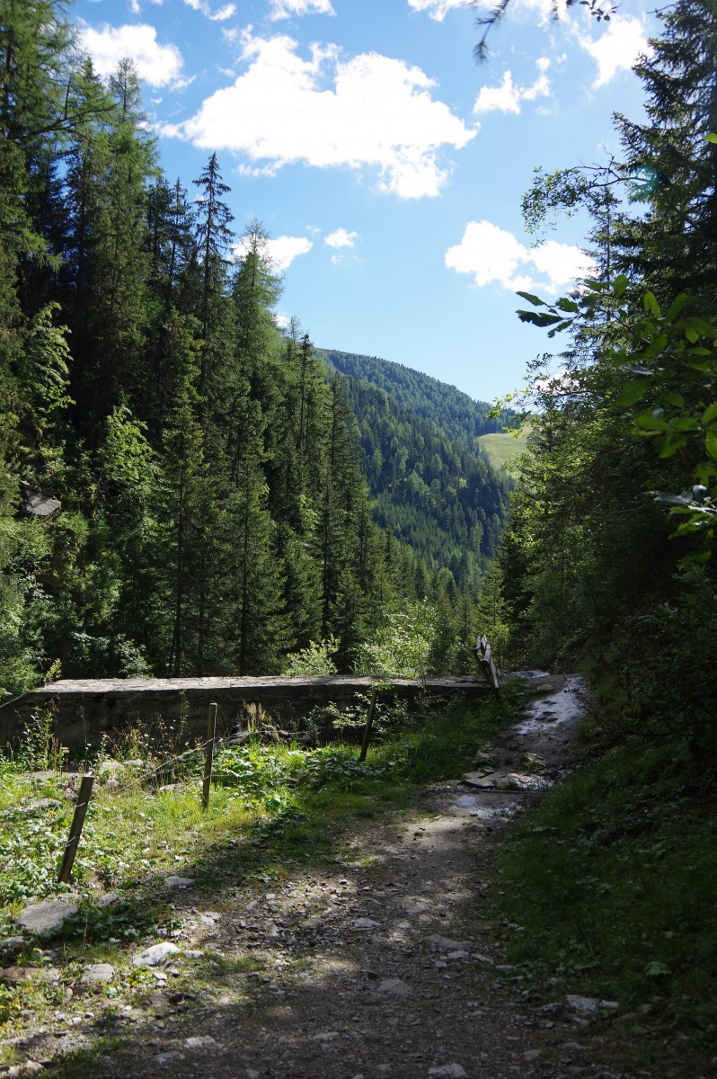 Paysage magnifique