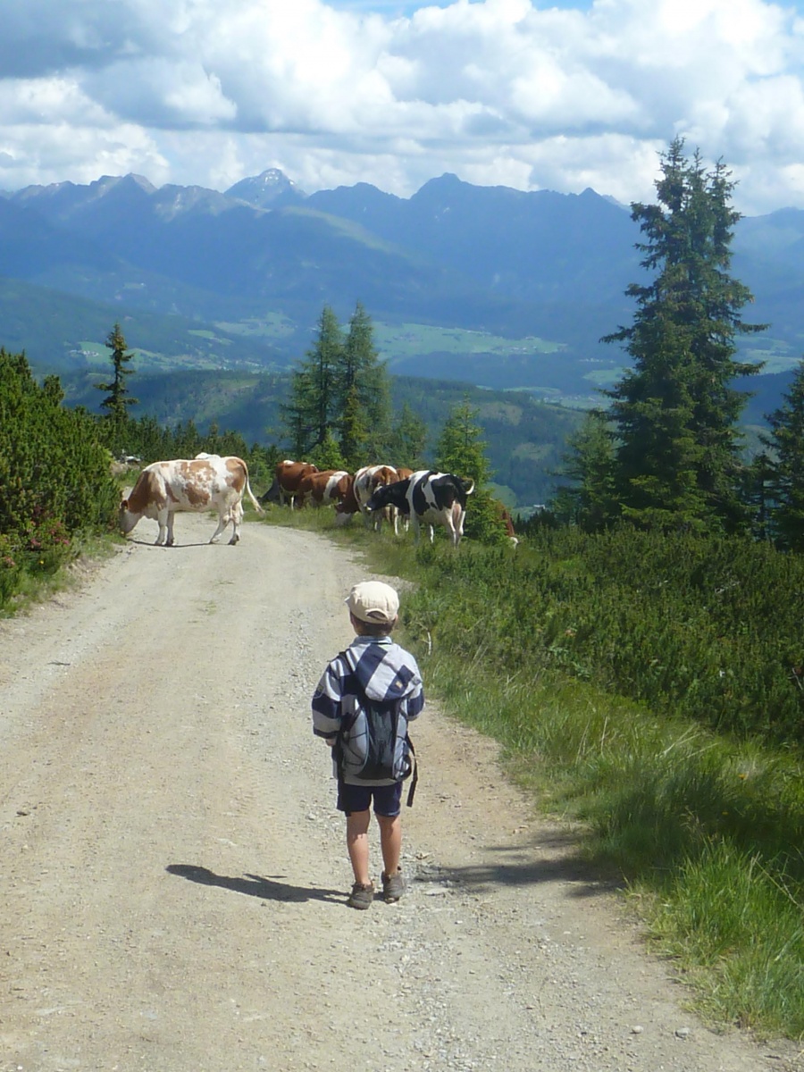 Liam chasse les trésors ou les vaches?