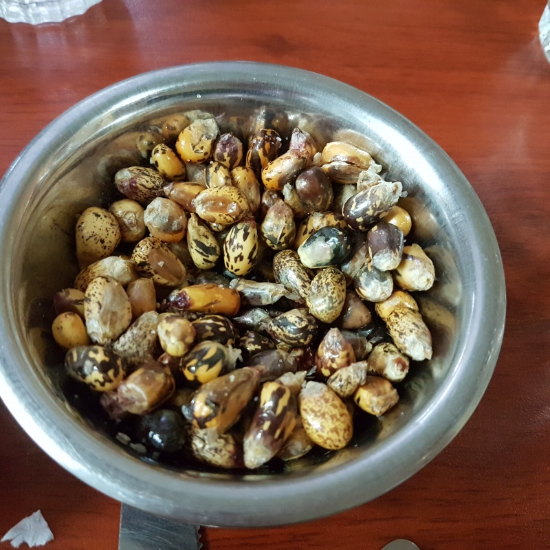 Canchitas au Pérou