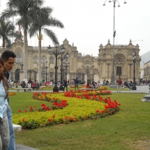 DSCN0386